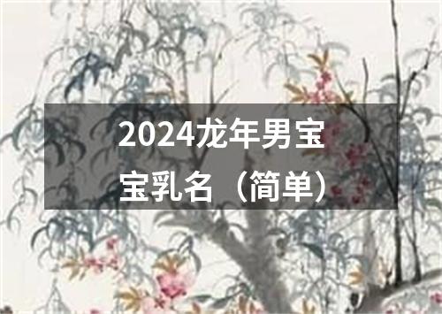 2024龙年男宝宝乳名（简单）