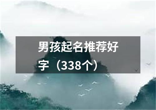 男孩起名推荐好字（338个）