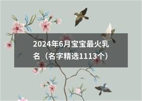 2024年6月宝宝最火乳名（名字精选1113个）