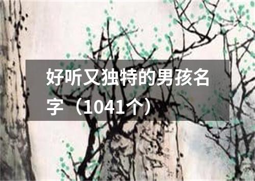 好听又独特的男孩名字（1041个）