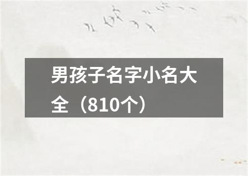 男孩子名字小名大全（810个）