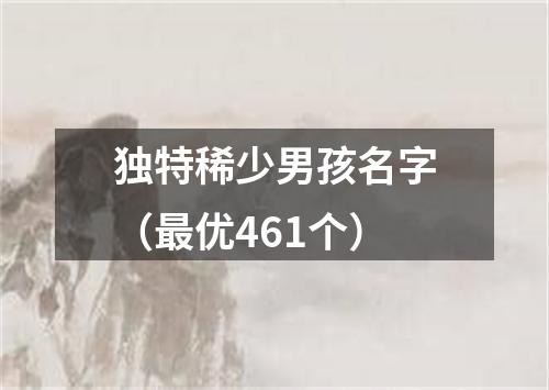 独特稀少男孩名字（最优461个）