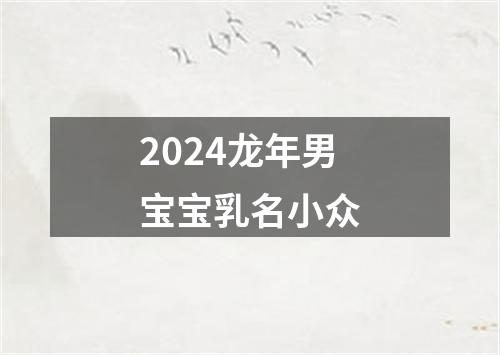 2024龙年男宝宝乳名小众