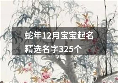 蛇年12月宝宝起名精选名字325个