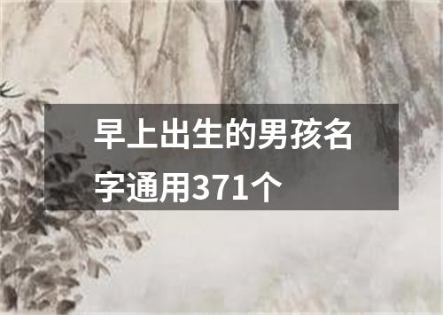 早上出生的男孩名字通用371个