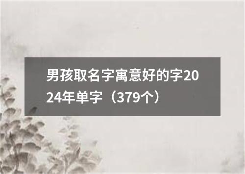 男孩取名字寓意好的字2024年单字（379个）