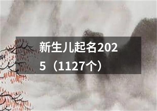 新生儿起名2025（1127个）