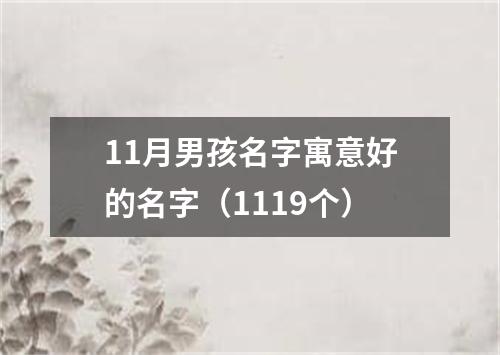 11月男孩名字寓意好的名字（1119个）