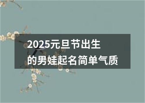 2025元旦节出生的男娃起名简单气质