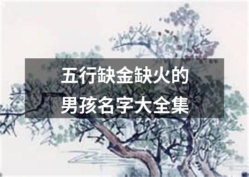 五行缺金缺火的男孩名字大全集