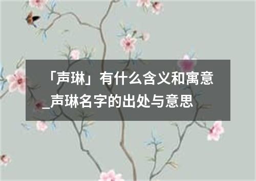 「声琳」有什么含义和寓意_声琳名字的出处与意思