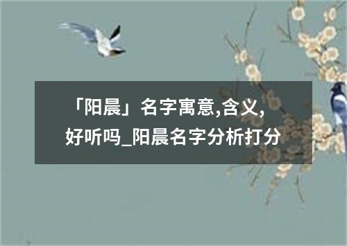 「阳晨」名字寓意,含义,好听吗_阳晨名字分析打分