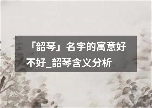 「韶琴」名字的寓意好不好_韶琴含义分析