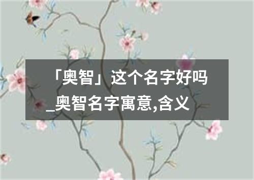 「奥智」这个名字好吗_奥智名字寓意,含义