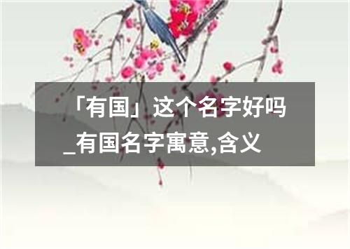 「有国」这个名字好吗_有国名字寓意,含义