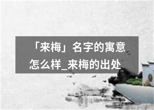 「来梅」名字的寓意怎么样_来梅的出处