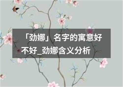 「劲娜」名字的寓意好不好_劲娜含义分析