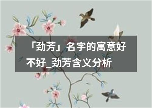 「劲芳」名字的寓意好不好_劲芳含义分析