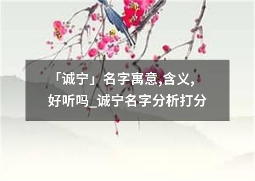 「诚宁」名字寓意,含义,好听吗_诚宁名字分析打分