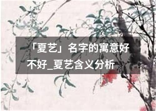 「夏艺」名字的寓意好不好_夏艺含义分析