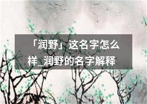 「润野」这名字怎么样_润野的名字解释