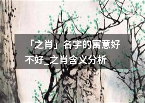 「之肖」名字的寓意好不好_之肖含义分析