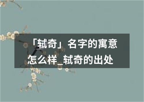 「轼奇」名字的寓意怎么样_轼奇的出处