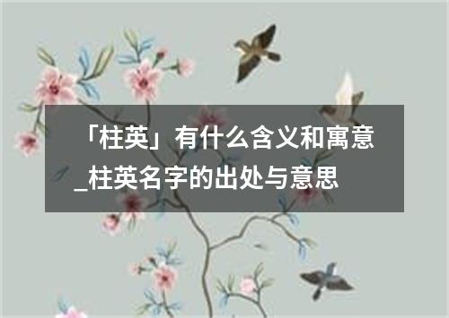 「柱英」有什么含义和寓意_柱英名字的出处与意思