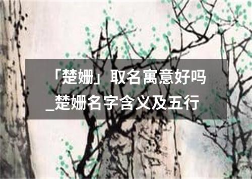 「楚姗」取名寓意好吗_楚姗名字含义及五行