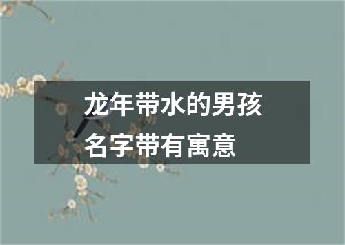 龙年带水的男孩名字带有寓意