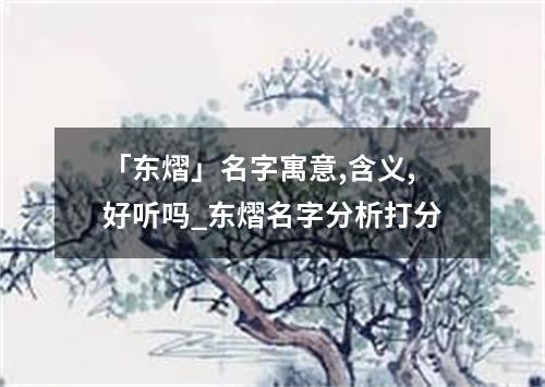 「东熠」名字寓意,含义,好听吗_东熠名字分析打分