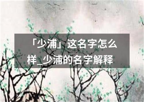 「少浦」这名字怎么样_少浦的名字解释