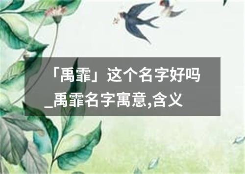 「禹霏」这个名字好吗_禹霏名字寓意,含义