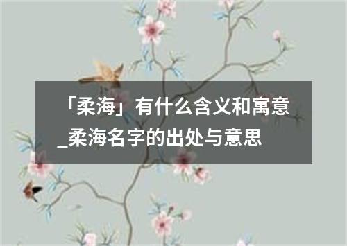 「柔海」有什么含义和寓意_柔海名字的出处与意思