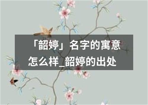 「韶婷」名字的寓意怎么样_韶婷的出处