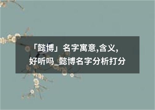 「懿博」名字寓意,含义,好听吗_懿博名字分析打分