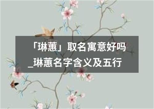 「琳蕙」取名寓意好吗_琳蕙名字含义及五行