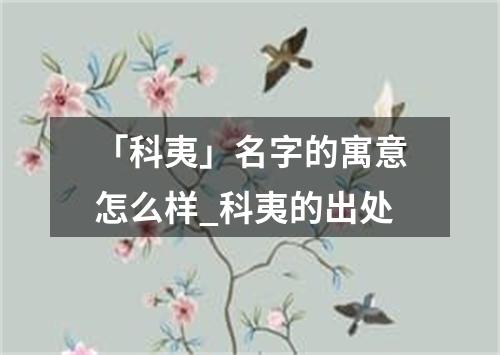 「科夷」名字的寓意怎么样_科夷的出处