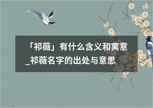 「祁薇」有什么含义和寓意_祁薇名字的出处与意思