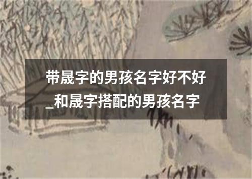 带晟字的男孩名字好不好_和晟字搭配的男孩名字