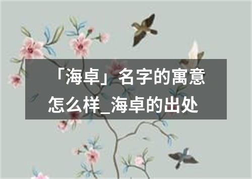 「海卓」名字的寓意怎么样_海卓的出处