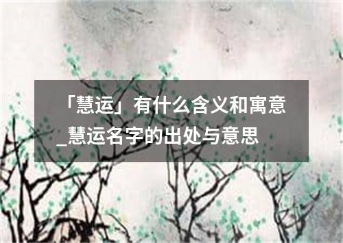 「慧运」有什么含义和寓意_慧运名字的出处与意思