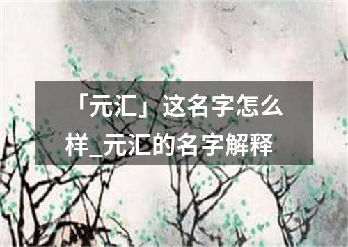 「元汇」这名字怎么样_元汇的名字解释