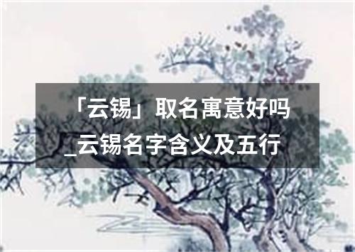 「云锡」取名寓意好吗_云锡名字含义及五行