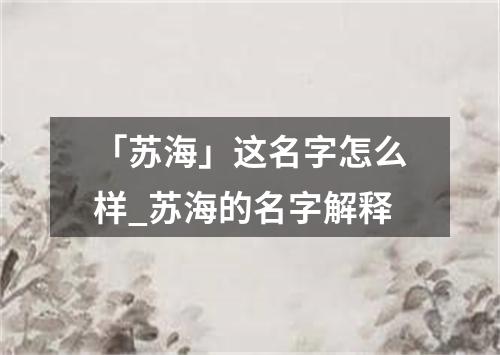 「苏海」这名字怎么样_苏海的名字解释