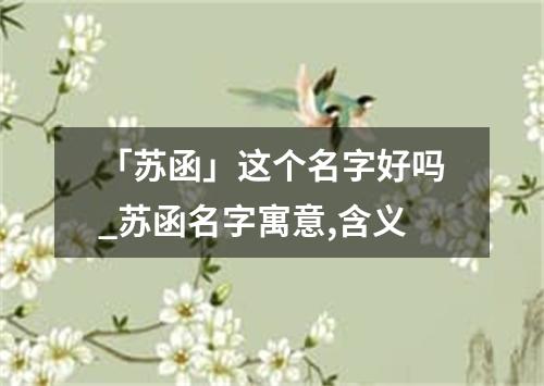 「苏函」这个名字好吗_苏函名字寓意,含义