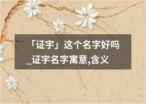 「证宇」这个名字好吗_证宇名字寓意,含义