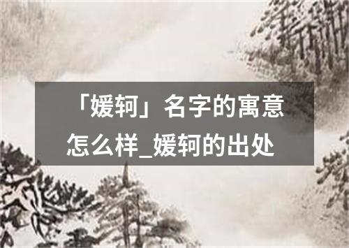 「媛轲」名字的寓意怎么样_媛轲的出处