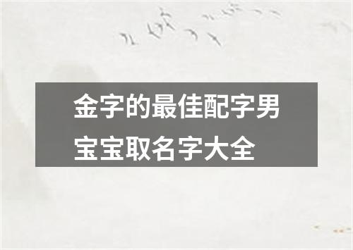 金字的最佳配字男宝宝取名字大全