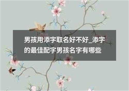 男孩用添字取名好不好_添字的最佳配字男孩名字有哪些